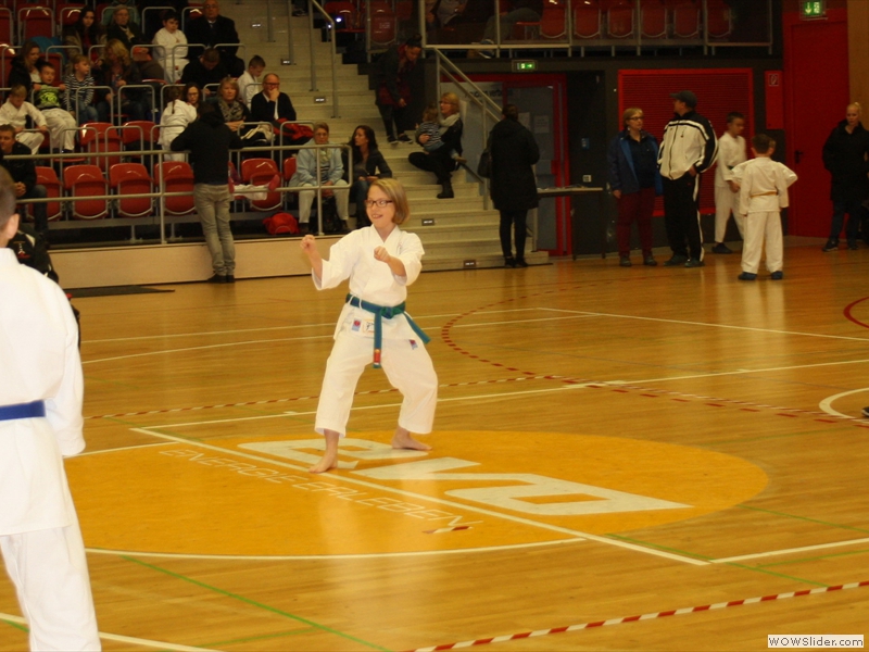 009 Bsc Vereinsmeisterschaft 2015