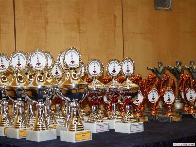 016 Bsc Vereinsmeisterschaft 2015